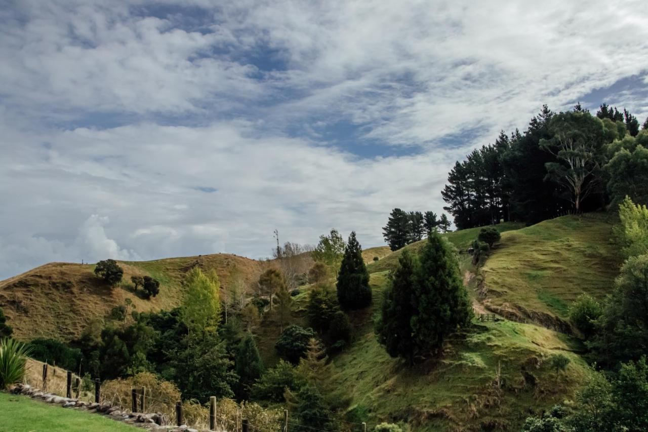 Luxury Stay, Alpaca Farm Paraparaumu Exterior foto