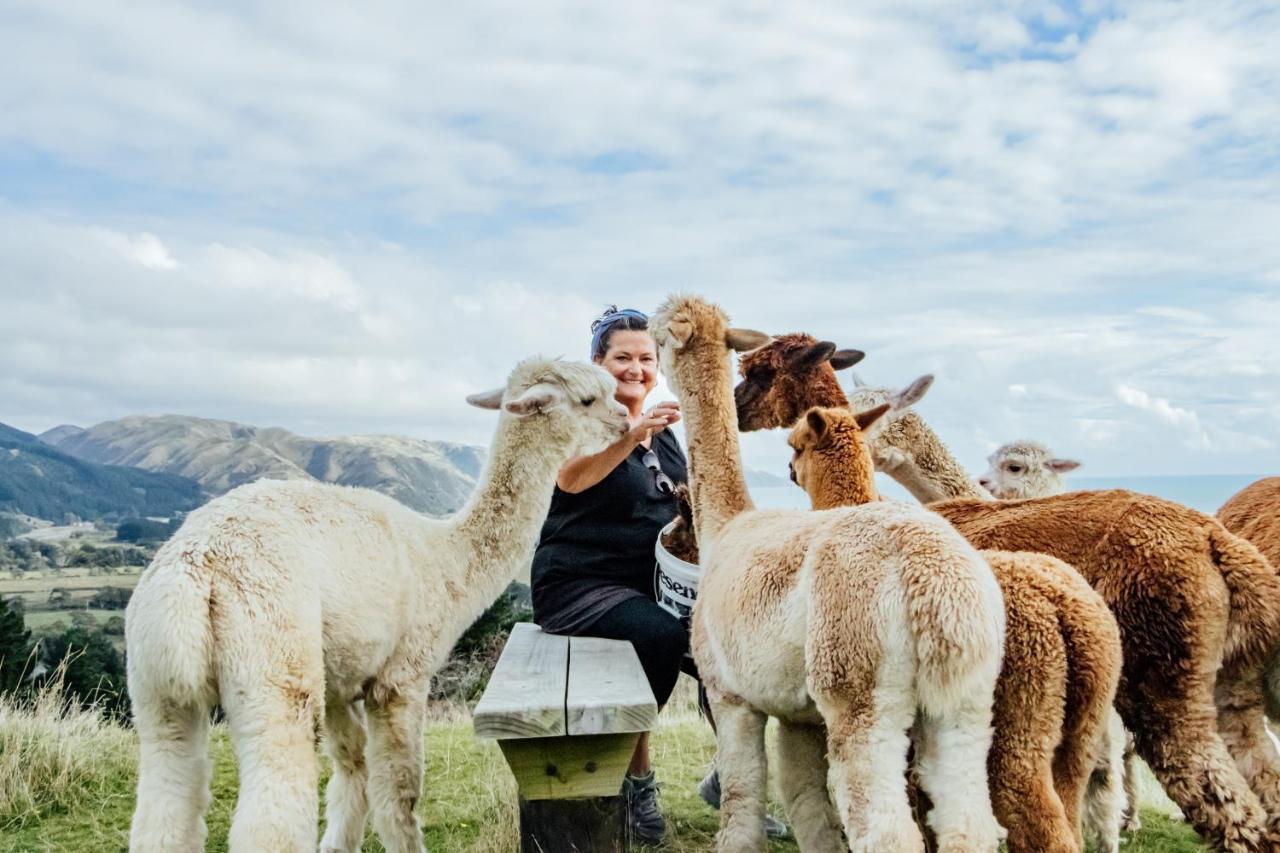 Luxury Stay, Alpaca Farm Paraparaumu Exterior foto